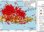 Ribuan Gempa Susulan Guncang Flores, BMKG: Aktivitas Mulai Menurun