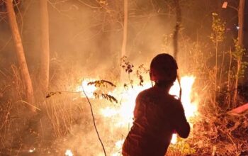 109,64 Hektare Lahan Terbakar di Sejumlah Wilayah