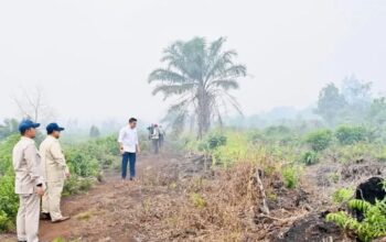 Prabowo Tinjau Karhutla di Kalimantan Barat