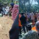 Pilu, Seorang Ibu Beserta Empat Anaknya Tewas Terjebak Kebakaran di Bombana