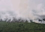 1.879,31 Hektare Lahan Terbakar di Jambi, Satgas Karhutla Kerja Keras Padamkan Api