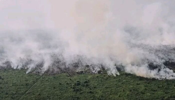 1.879,31 Hektare Lahan Terbakar di Jambi, Satgas Karhutla Kerja Keras Padamkan Api