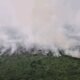1.879,31 Hektare Lahan Terbakar di Jambi, Satgas Karhutla Kerja Keras Padamkan Api