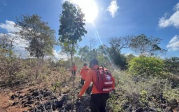 Hari Ketujuh, Pencarian Warga Hilang di Hutan Dekat Kampus USN Ditutup