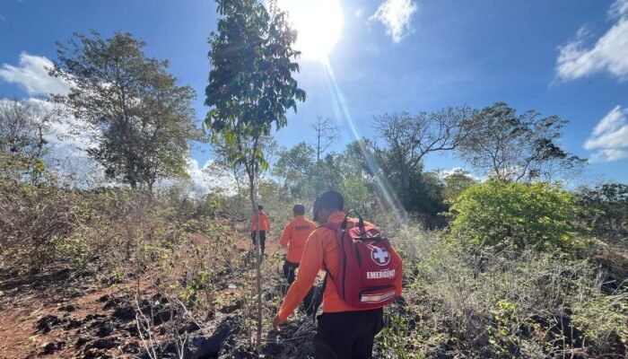 Hari Ketujuh, Pencarian Warga Hilang di Hutan Dekat Kampus USN Ditutup