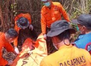 Lima Hari Pencarian, Korban Hilang di Hutan Konawe Ditemukan Tak Bernyawa
