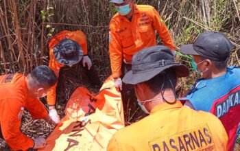 Lima Hari Pencarian, Korban Hilang di Hutan Konawe Ditemukan Tak Bernyawa