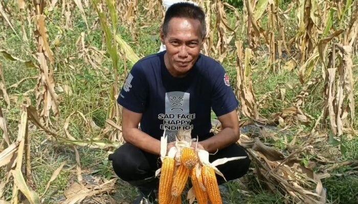 Hari Tani Nasional: Jangan Hanya Mengejar Produksi, Bangun Kesejahteraan Petani