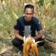 Hari Tani Nasional: Jangan Hanya Mengejar Produksi, Bangun Kesejahteraan Petani