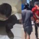 KDRT Brutal di Bone, Suami Bakar Istri Gegara Cemburu