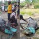 Duet Ayah dan Anak di Kolaka Timur Berhasil Taklukkan Buaya 7 Meter