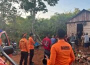 Tak Kunjung Kembali Usai Pasang Jerat Ayam di Hutan Muna, Pria 63 Tahun Dicari Tim SAR