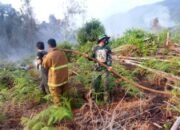 3 Titik Api Seluas 10 Hektare di Kolut Padam, 2 Lokasi Kebakaran Masih Tak Terjangkau Damkar