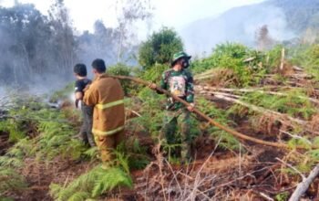 3 Titik Api Seluas 10 Hektare di Kolut Padam, 2 Lokasi Kebakaran Masih Tak Terjangkau Damkar