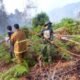 3 Titik Api Seluas 10 Hektare di Kolut Padam, 2 Lokasi Kebakaran Masih Tak Terjangkau Damkar