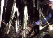 Saat Air Bersih Jadi Barang Dagangan, Warga Muna Bertahan dari Tetesan Bambu