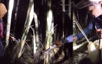 Saat Air Bersih Jadi Barang Dagangan, Warga Muna Bertahan dari Tetesan Bambu