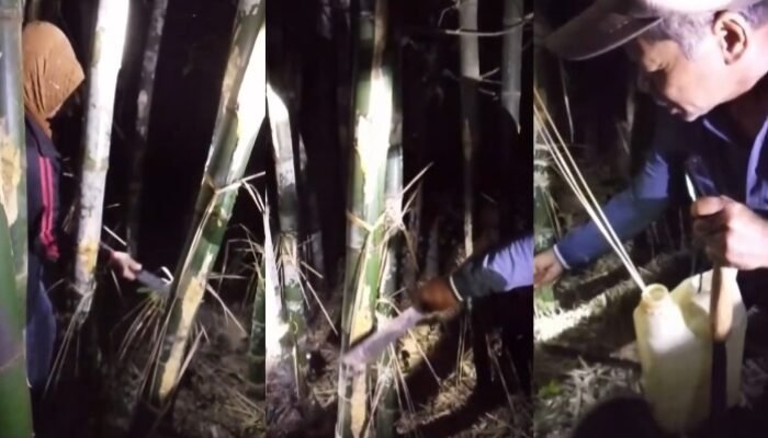 Saat Air Bersih Jadi Barang Dagangan, Warga Muna Bertahan dari Tetesan Bambu