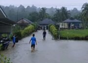 Karhutla dan Banjir Melanda Sejumlah Daerah, BNPB Keluarkan Imbauan