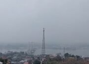 Asap dari Papua Selatan dan Maluku Selimuti Sultra, 17 Daerah Berpotensi Terdampak