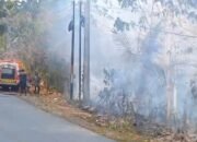Enam Personel Damkar Terluka Saat Padamkan Kebakaran Kebun Sawit di Kolut, Satu Luka Berat
