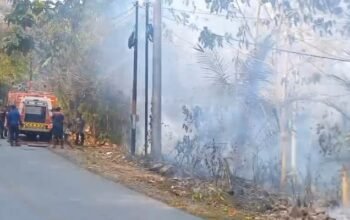 Enam Personel Damkar Terluka Saat Padamkan Kebakaran Kebun Sawit di Kolut, Satu Luka Berat