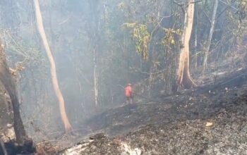 Diduga Dipicu Puntung Rokok, 2,5 Hektare Lahan di Kolaka Terbakar