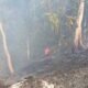 Diduga Dipicu Puntung Rokok, 2,5 Hektare Lahan di Kolaka Terbakar