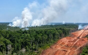 Papua Dikepung 8.324 Titik Panas, WALHI Soroti Ekspansi Proyek Pangan dan Energi