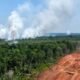 Papua Dikepung 8.324 Titik Panas, WALHI Soroti Ekspansi Proyek Pangan dan Energi