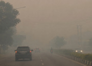 Kabut Asap Karhutla Diperkirakan Tutupi Seluruh Wilayah Sultra, Baubau dan Busel Dikecualikan