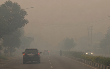 Kabut Asap Karhutla Diperkirakan Tutupi Seluruh Wilayah Sultra, Baubau dan Busel Dikecualikan